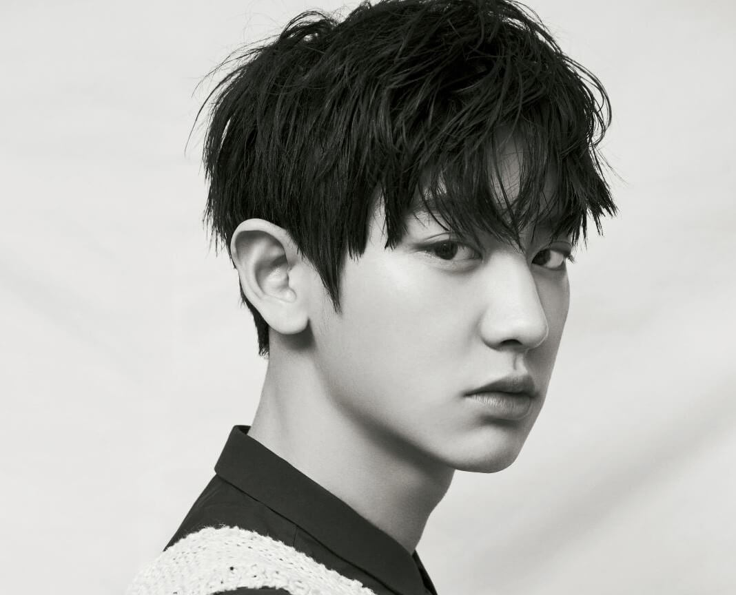 PARK CHANYEOL (박찬열)