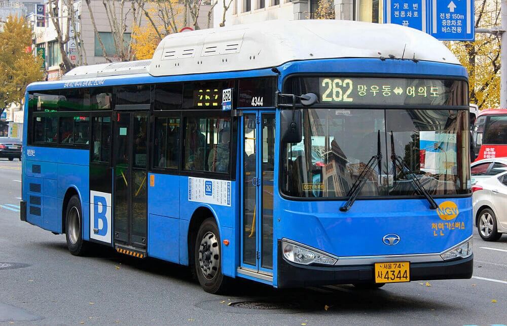 Gli autobus (바스)